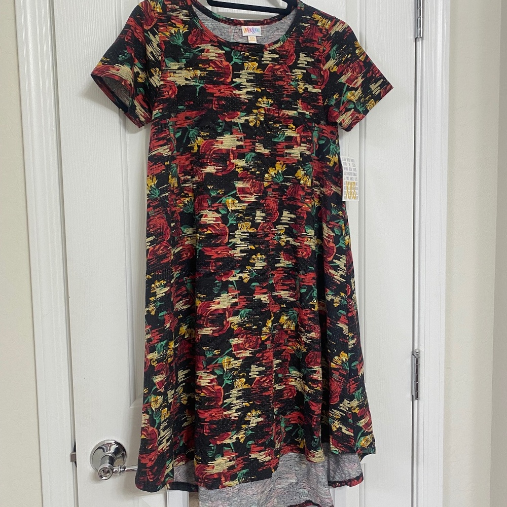 LulaRoe Carly Dress